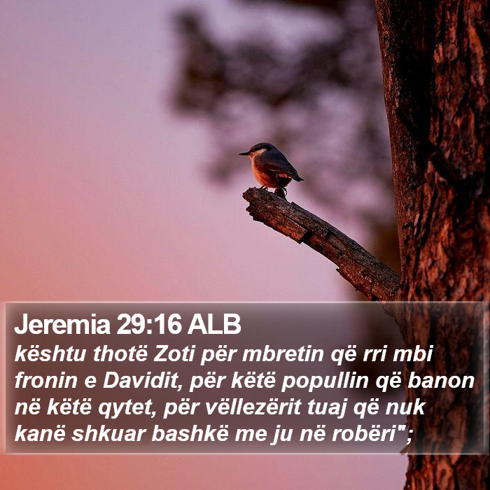 Jeremia 29:16 ALB Bible Study