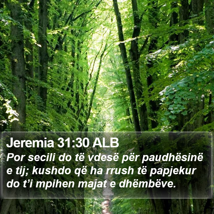Jeremia 31:30 ALB Bible Study