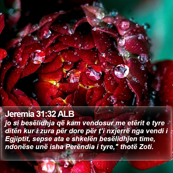 Jeremia 31:32 ALB Bible Study