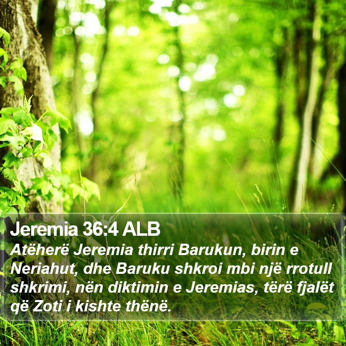 Jeremia 36:4 ALB Bible Study