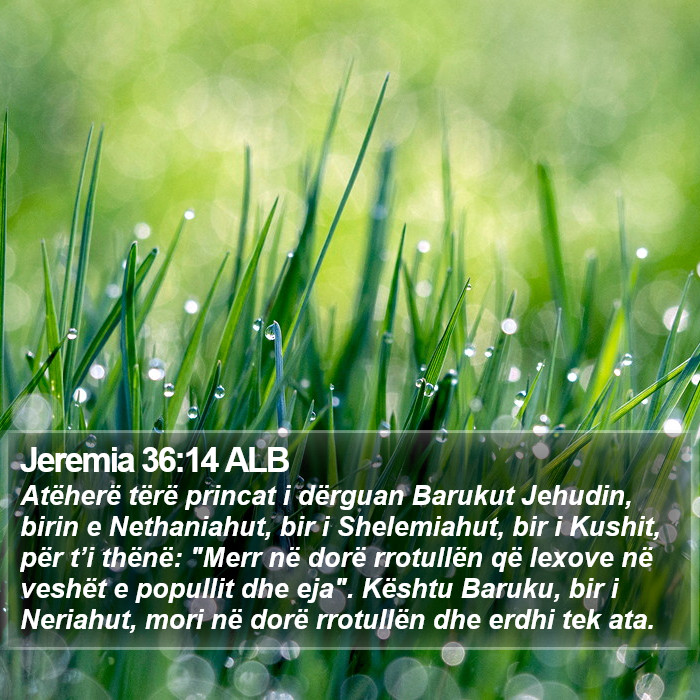 Jeremia 36:14 ALB Bible Study