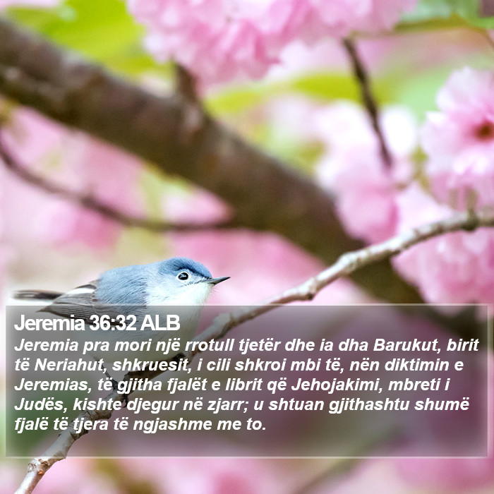 Jeremia 36:32 ALB Bible Study