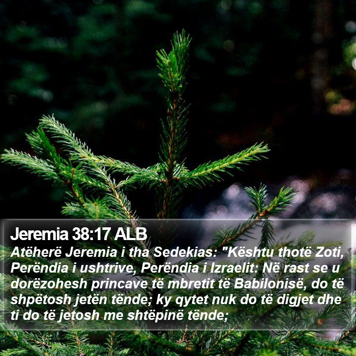 Jeremia 38:17 ALB Bible Study