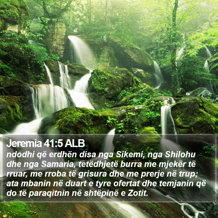 Jeremia 41:5 ALB Bible Study