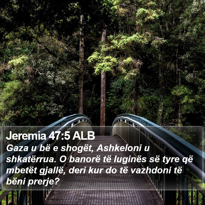 Jeremia 47:5 ALB Bible Study