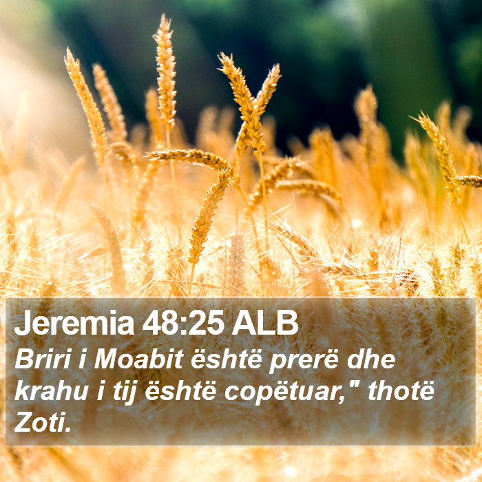 Jeremia 48:25 ALB Bible Study