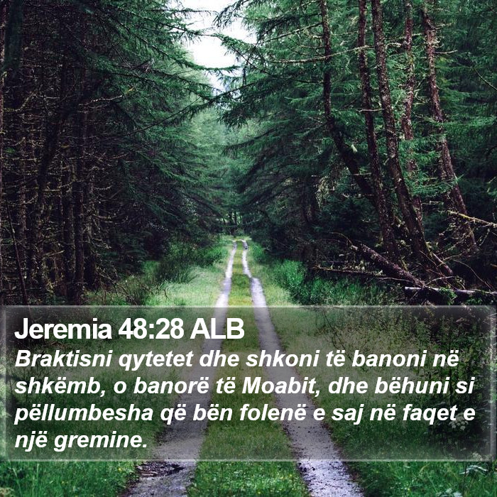 Jeremia 48:28 ALB Bible Study