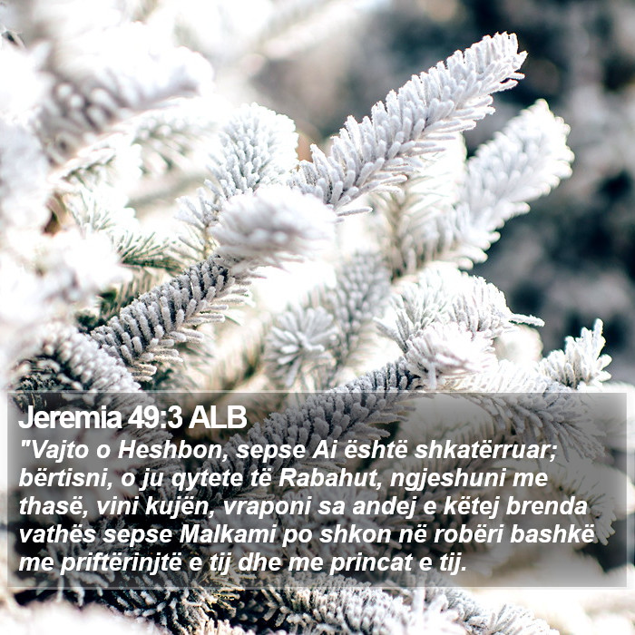 Jeremia 49:3 ALB Bible Study