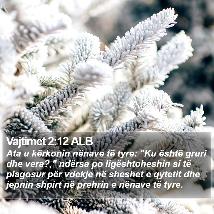 Vajtimet 2:12 ALB Bible Study