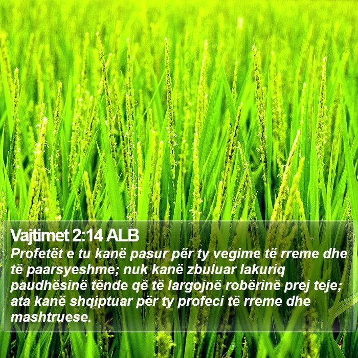 Vajtimet 2:14 ALB Bible Study