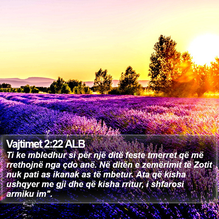 Vajtimet 2:22 ALB Bible Study