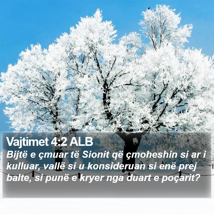 Vajtimet 4:2 ALB Bible Study