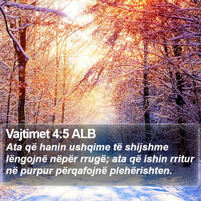 Vajtimet 4:5 ALB Bible Study