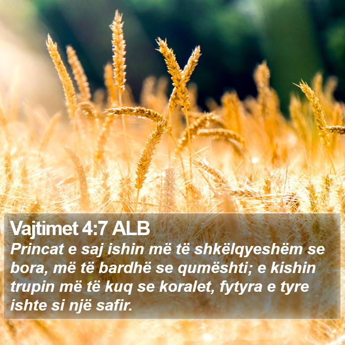 Vajtimet 4:7 ALB Bible Study