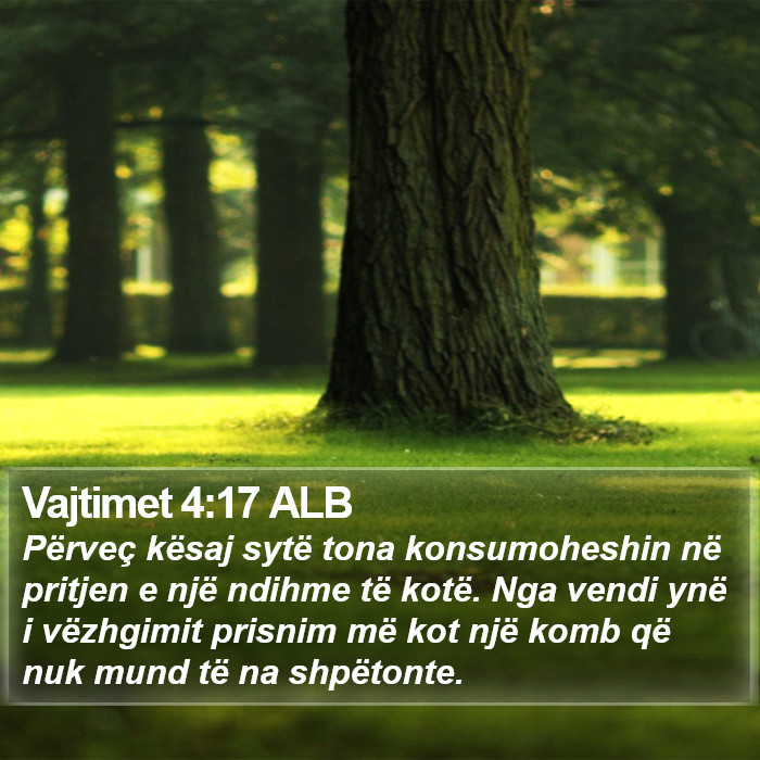 Vajtimet 4:17 ALB Bible Study