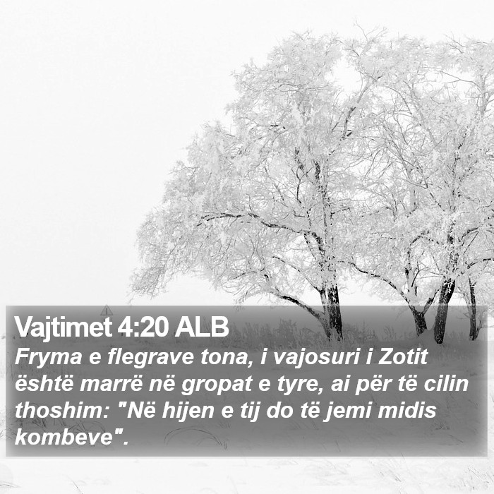 Vajtimet 4:20 ALB Bible Study