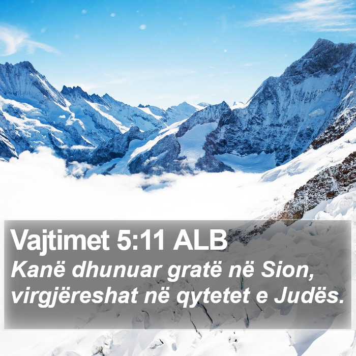 Vajtimet 5:11 ALB Bible Study