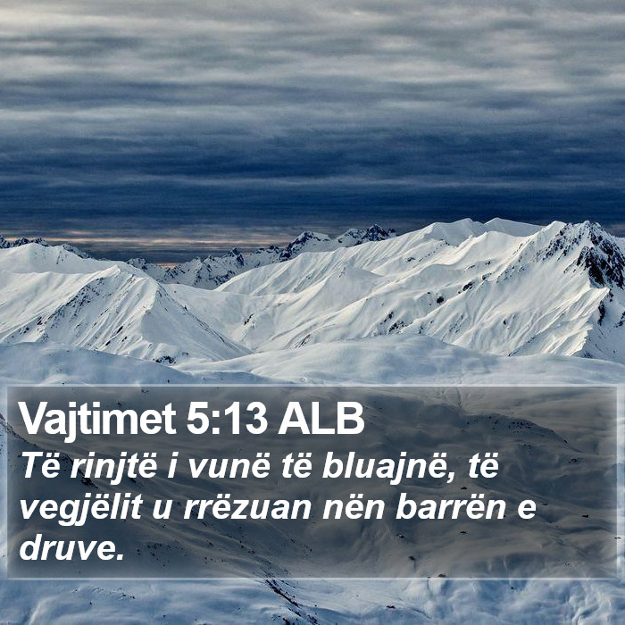 Vajtimet 5:13 ALB Bible Study