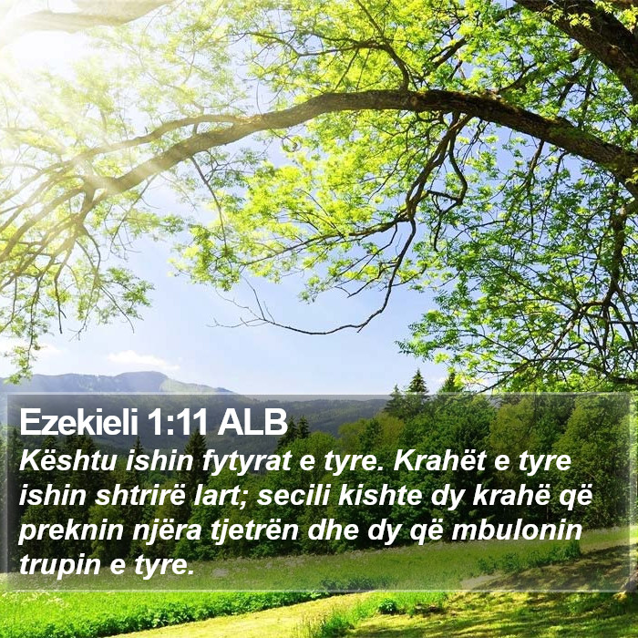 Ezekieli 1:11 ALB Bible Study