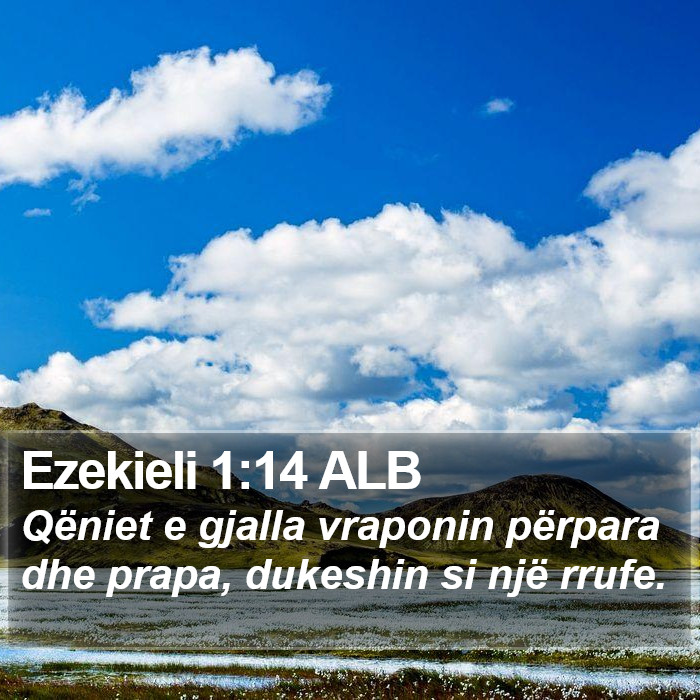 Ezekieli 1:14 ALB Bible Study