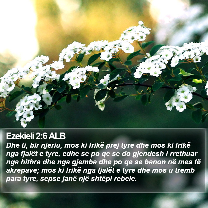 Ezekieli 2:6 ALB Bible Study