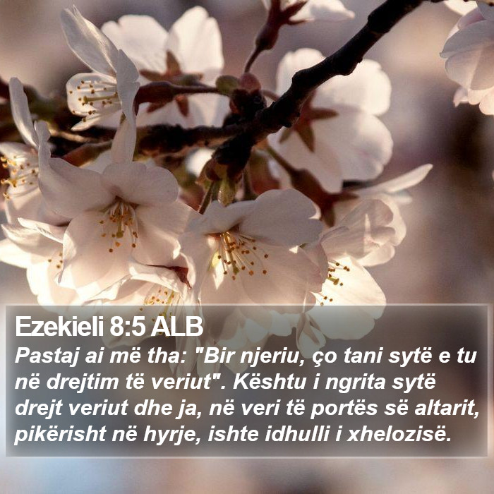 Ezekieli 8:5 ALB Bible Study