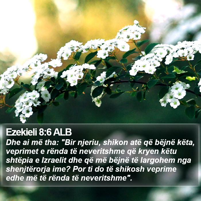 Ezekieli 8:6 ALB Bible Study