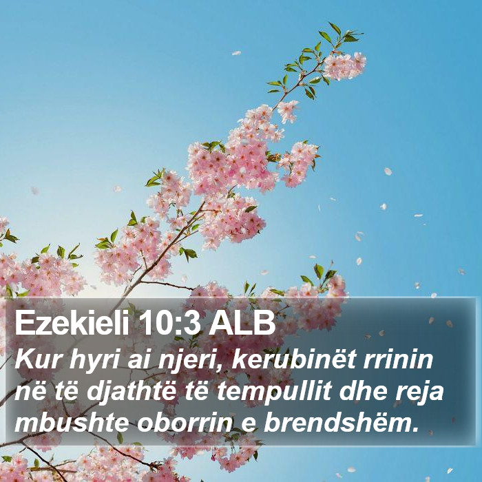 Ezekieli 10:3 ALB Bible Study