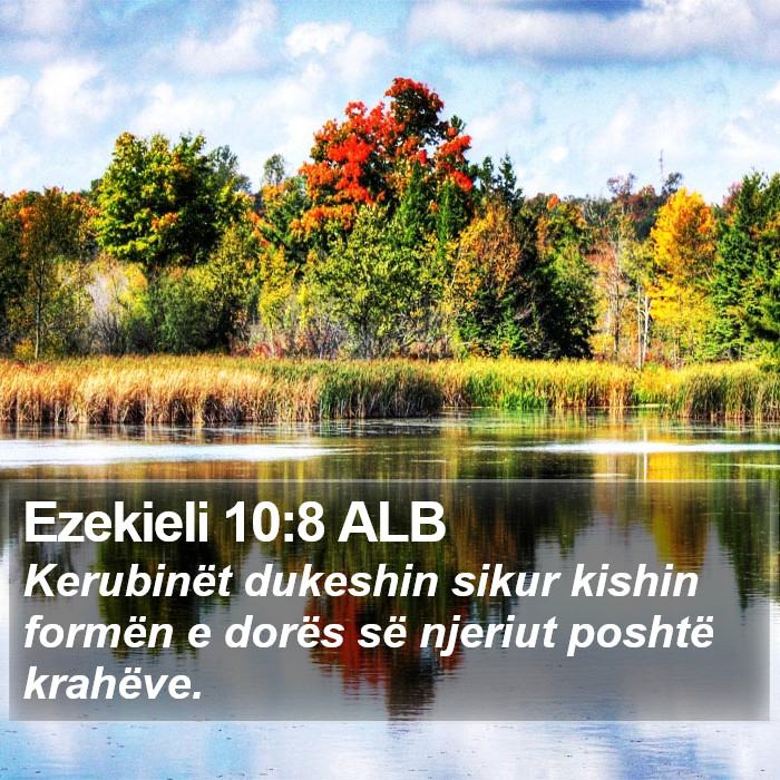 Ezekieli 10:8 ALB Bible Study