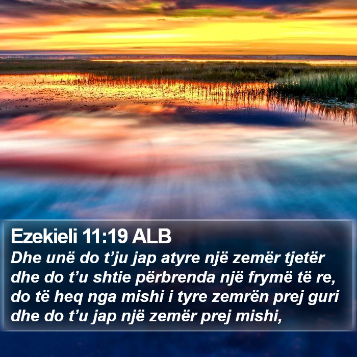 Ezekieli 11:19 ALB Bible Study