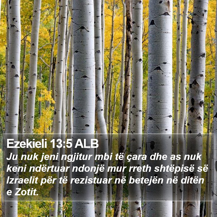 Ezekieli 13:5 ALB Bible Study