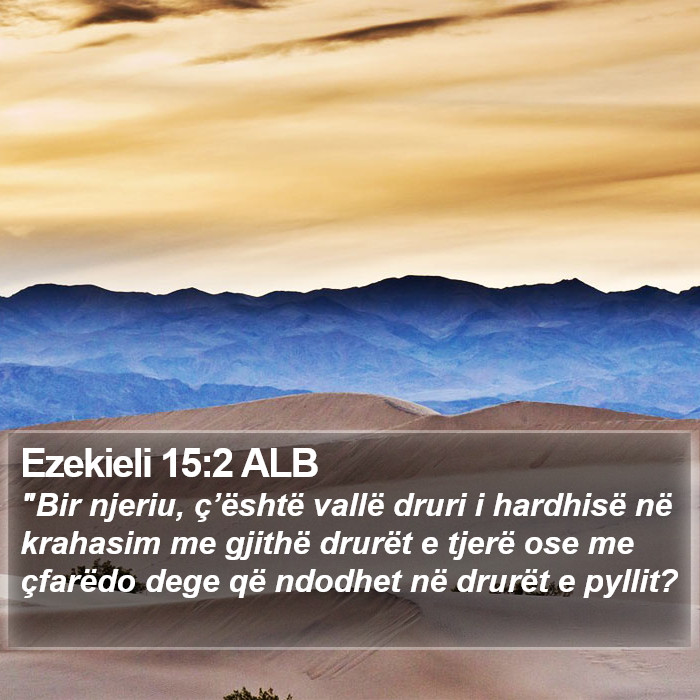 Ezekieli 15:2 ALB Bible Study