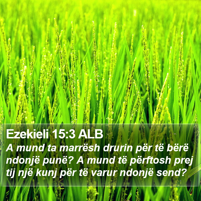 Ezekieli 15:3 ALB Bible Study