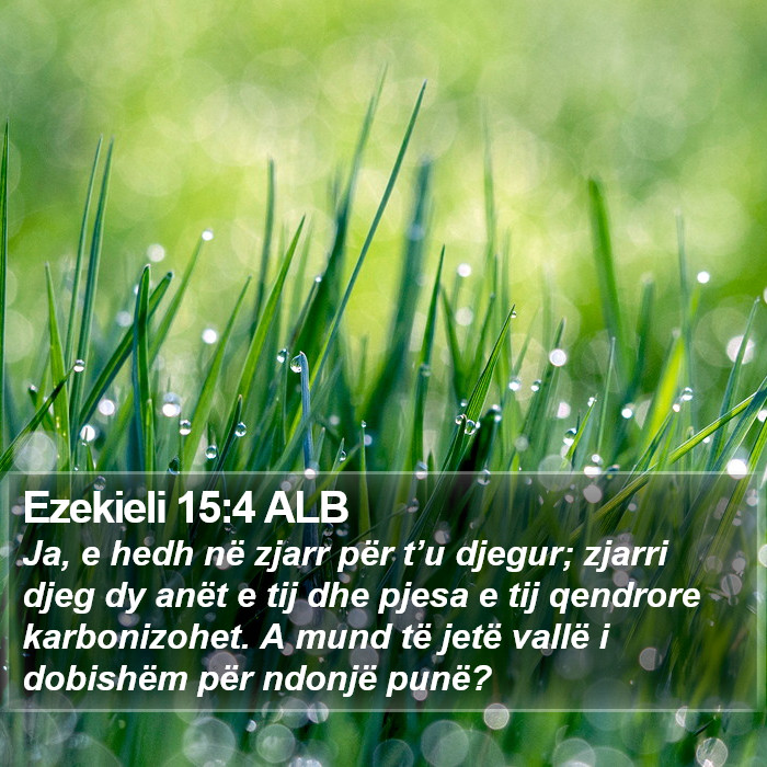 Ezekieli 15:4 ALB Bible Study