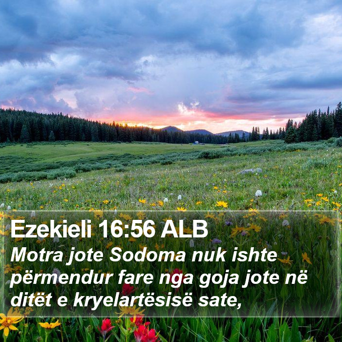 Ezekieli 16:56 ALB Bible Study