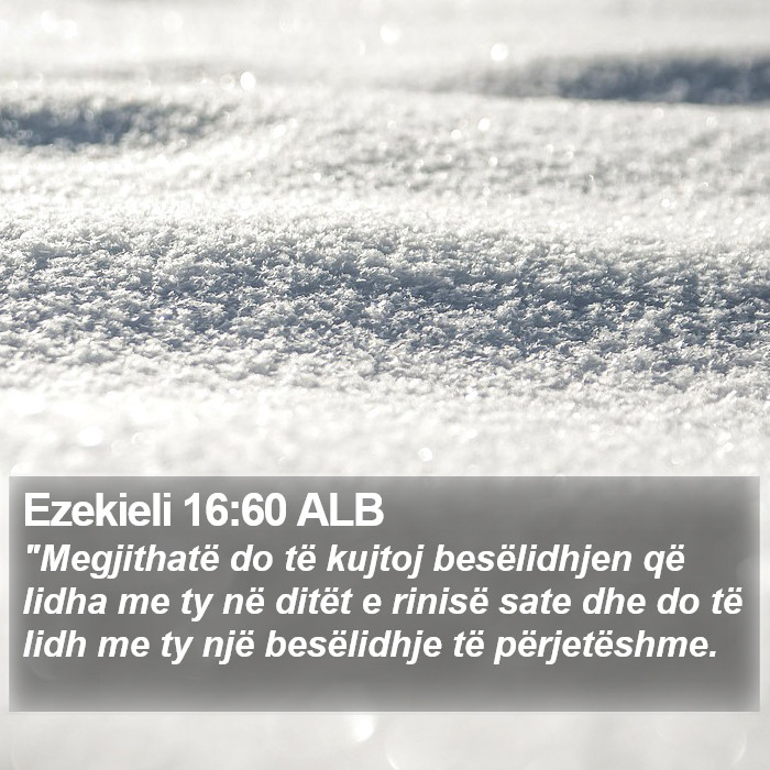 Ezekieli 16:60 ALB Bible Study