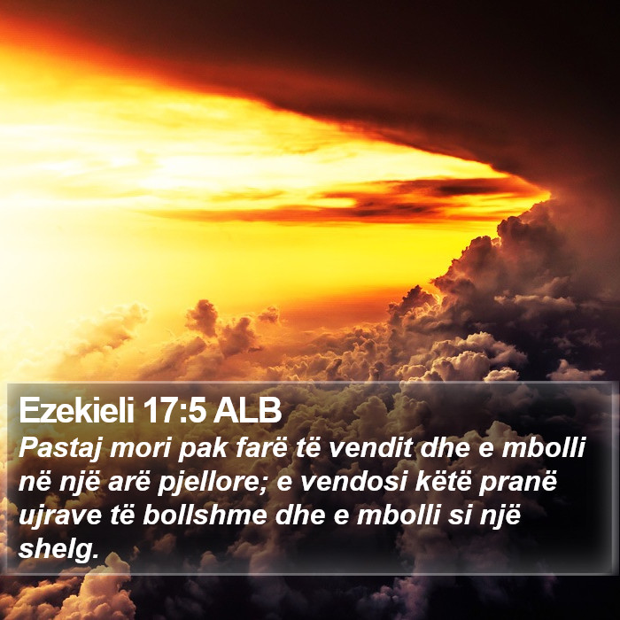 Ezekieli 17:5 ALB Bible Study