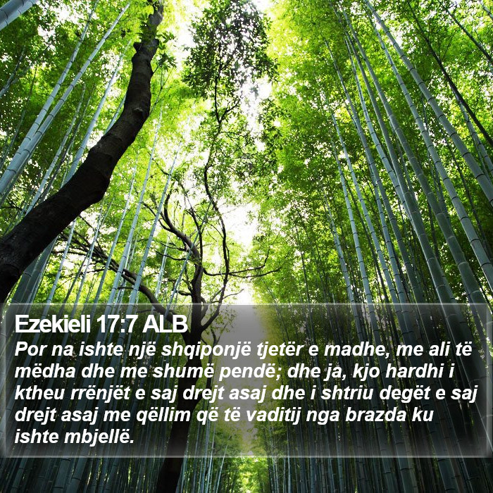 Ezekieli 17:7 ALB Bible Study