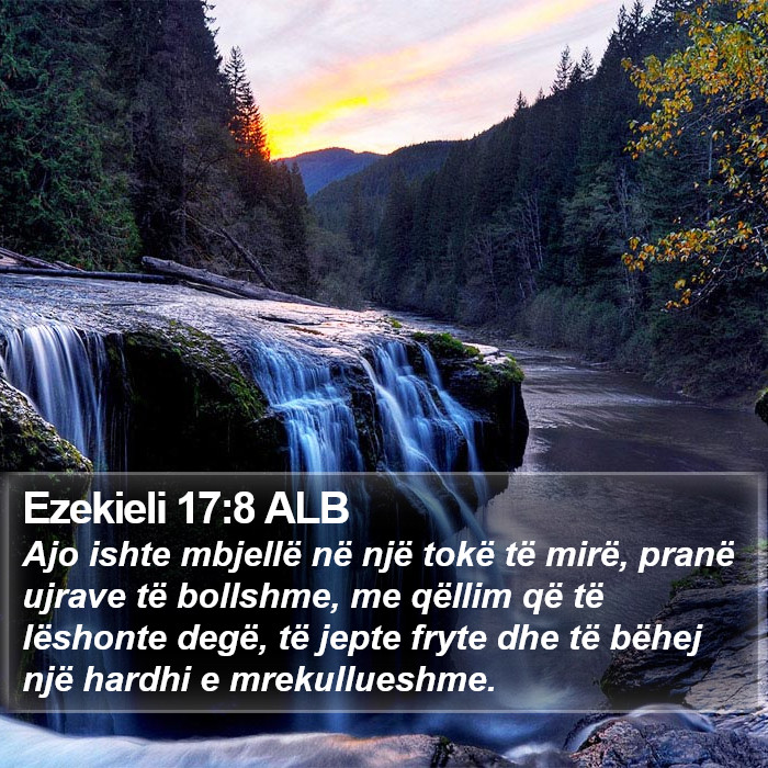 Ezekieli 17:8 ALB Bible Study