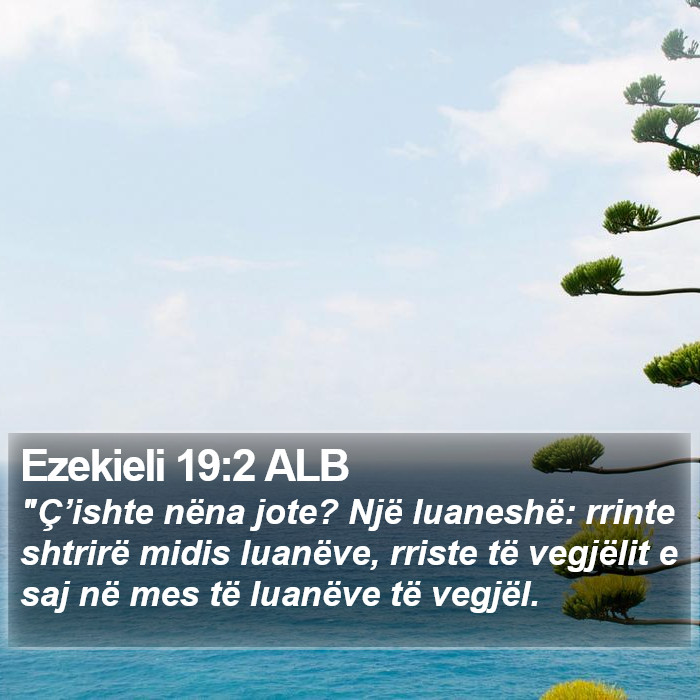 Ezekieli 19:2 ALB Bible Study