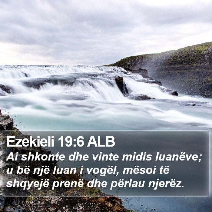 Ezekieli 19:6 ALB Bible Study