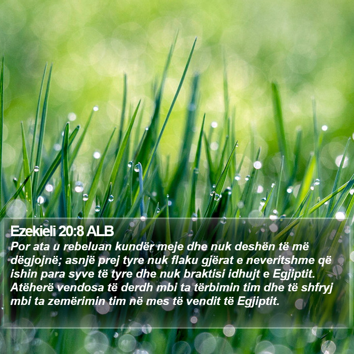 Ezekieli 20:8 ALB Bible Study
