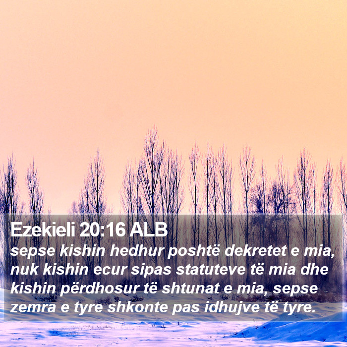 Ezekieli 20:16 ALB Bible Study