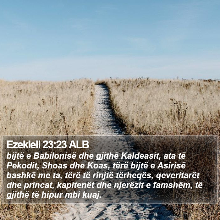 Ezekieli 23:23 ALB Bible Study