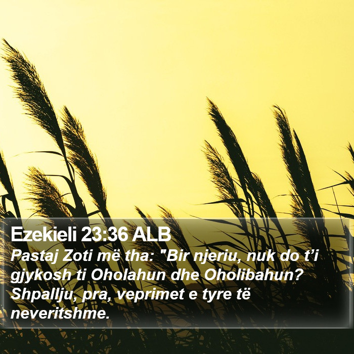 Ezekieli 23:36 ALB Bible Study