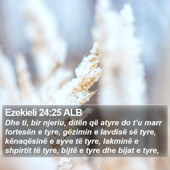 Ezekieli 24:25 ALB Bible Study