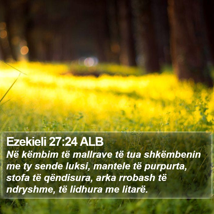 Ezekieli 27:24 ALB Bible Study