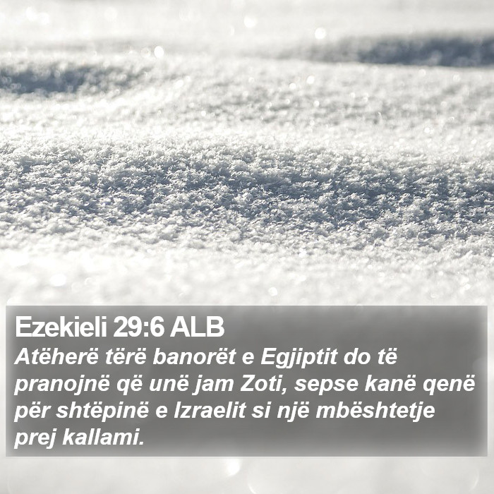 Ezekieli 29:6 ALB Bible Study