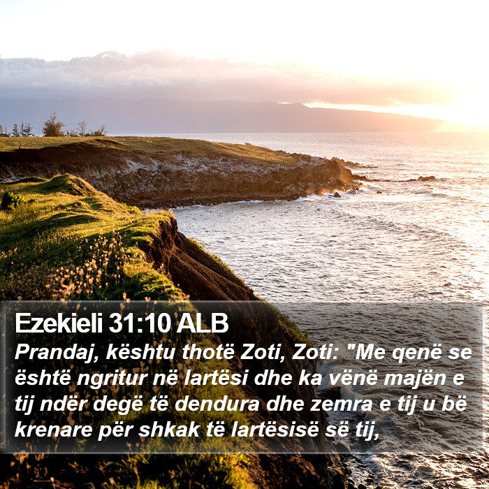 Ezekieli 31:10 ALB Bible Study