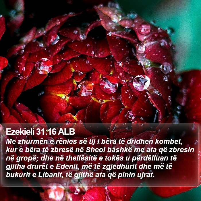 Ezekieli 31:16 ALB Bible Study